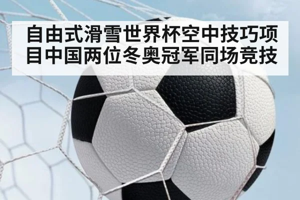 自由式滑雪世界杯空中技巧项目中国两位冬奥冠军同场竞技